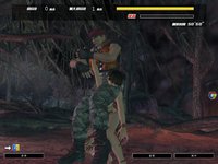 Dead or Alive Online screenshot, image №480210 - RAWG