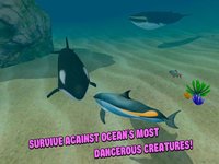 Sea Simulator: Dolphin 3D screenshot, image №1333266 - RAWG