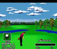 World Masters Golf screenshot, image №763305 - RAWG