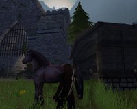 Thrones of Chaos screenshot, image №460816 - RAWG
