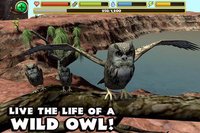 Owl Simulator screenshot, image №1560887 - RAWG