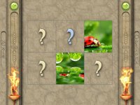 FlipPix Jigsaw - Small World screenshot, image №1336379 - RAWG