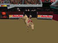 Professional Bull Rider 2 screenshot, image №301903 - RAWG