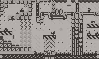 Cranky Bird (Playdate) screenshot, image №3438976 - RAWG