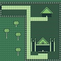 Turtle and Duck screenshot, image №2296216 - RAWG