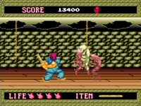 Splatterhouse (1989) screenshot, image №248668 - RAWG