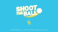 SHOOT THE BALL screenshot, image №799564 - RAWG