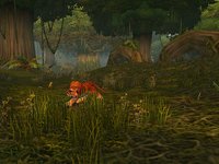 World of Warcraft screenshot, image №351800 - RAWG