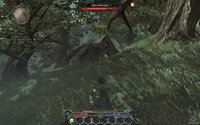 Divinity 2: Ego Draconis screenshot, image №428905 - RAWG