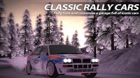 Rush Rally 2 screenshot, image №1350640 - RAWG