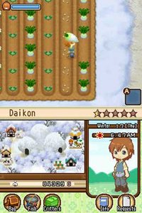 Harvest Moon DS: The Tale of Two Towns screenshot, image №257416 - RAWG