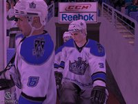 NHL 09 screenshot, image №498120 - RAWG