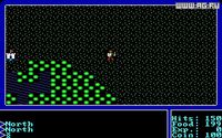Ultima I: The First Age of Darkness screenshot, image №325011 - RAWG