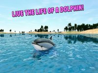 Sea Simulator: Dolphin 3D screenshot, image №1333265 - RAWG
