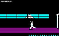 Karateka (1985) screenshot, image №296454 - RAWG