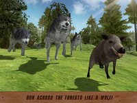 Wild Wolf Quest: Survival Simulator screenshot, image №1333216 - RAWG