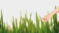 Touching grass simulator screenshot, image №3353616 - RAWG