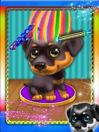 Animal Pet Dog Hair Salon - hair salon game for kid screenshot, image №890351 - RAWG