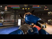 Cкриншот Boxing Combat, изображение № 1689024 - RAWG