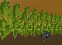 turkey likes corn screenshot, image №3566138 - RAWG