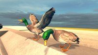 Bird Simulator screenshot, image №2241854 - RAWG