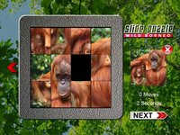 Slide Puzzle Borneo (The land below the Wind) screenshot, image №1795676 - RAWG