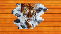 Big Cat Jigsaw Quest screenshot, image №4143314 - RAWG