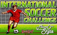 International Soccer Challenge screenshot, image №748796 - RAWG