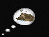 Boardeerlands screenshot, image №2594732 - RAWG