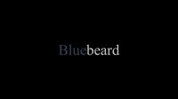 Blue beard (푸른 수염) screenshot, image №3350359 - RAWG