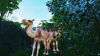 VR Animal Kids Rumble screenshot, image №3891838 - RAWG