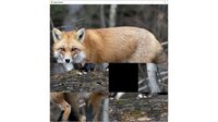 hgmGame-fox screenshot, image №4200496 - RAWG