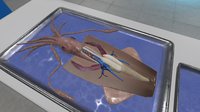 VR Squid and Seastar Dissection: Invertebrate Investigations screenshot, image №2383786 - RAWG