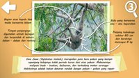 NEBAK GAMBAR: Fauna Indonesia screenshot, image №1184591 - RAWG
