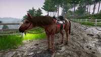 Horse Riding Deluxe 2 screenshot, image №2333967 - RAWG