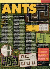 Ants: The Masses Against The Massive screenshot, image №2995171 - RAWG