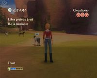 Petz Horse Club screenshot, image №505970 - RAWG