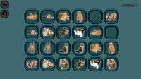 Animals Memory: Cats screenshot, image №869010 - RAWG