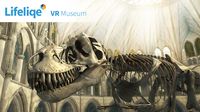 Lifeliqe VR Museum screenshot, image №119371 - RAWG