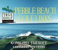 True Golf Classics: Pebble Beach Golf Links screenshot, image №760016 - RAWG