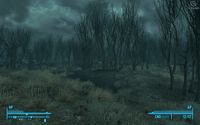 Fallout 3: Point Lookout screenshot, image №529708 - RAWG