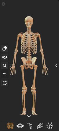 3D Anatomy Atlas screenshot, image №3131618 - RAWG