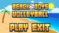 Beach Boys Volleyball screenshot, image №1310952 - RAWG