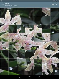 Jigsaw Puzzle: Flowers screenshot, image №1497477 - RAWG