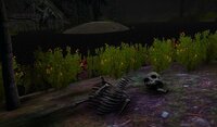The Forgotten Forest (itch) (Robster95) screenshot, image №2655886 - RAWG