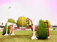 My Horse and Me screenshot, image №483906 - RAWG