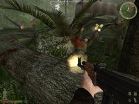 Vietcong 2 screenshot, image №426266 - RAWG