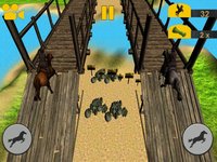 Crazy Horse Racing Champion screenshot, image №2185254 - RAWG