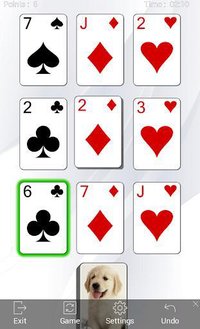 Solitaire suite - 25 in 1 screenshot, image №1410356 - RAWG