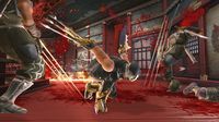 Ninja Gaiden II screenshot, image №514285 - RAWG